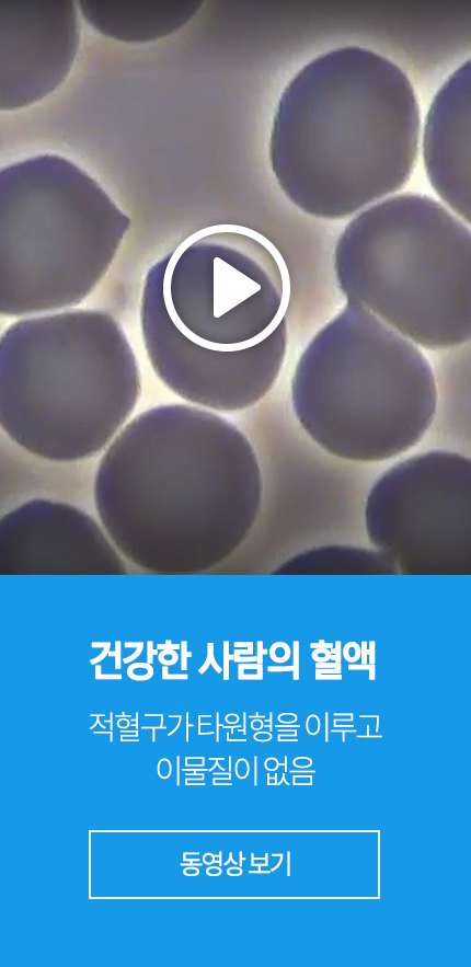 건강한 사람의 혈액 : 적혈구와 타원형을 이루고 이물질이 없음 - 동영상mo_ba 보기