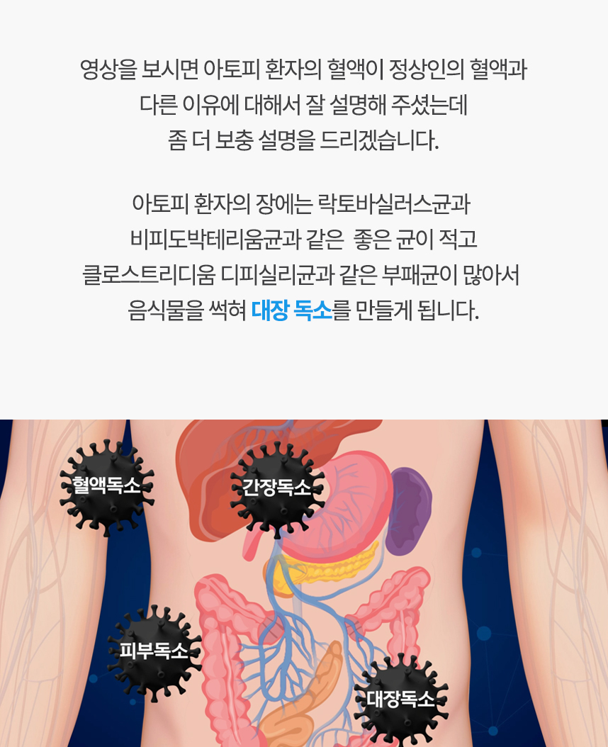 영상의 보충설명을 해드리겠습니다. 아토피 환자의 장에는 좋은 균이 적고 부패균이 많아서 음식물을 썩혀 대장 독소를 만들게 됩니다.