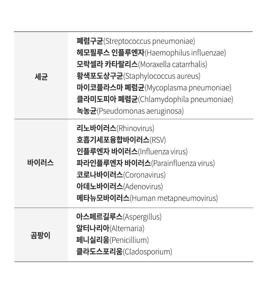 세균, 바이러스, 곰팡이 종류