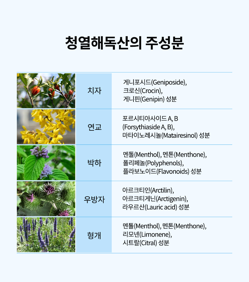 청열해독산의 주성분