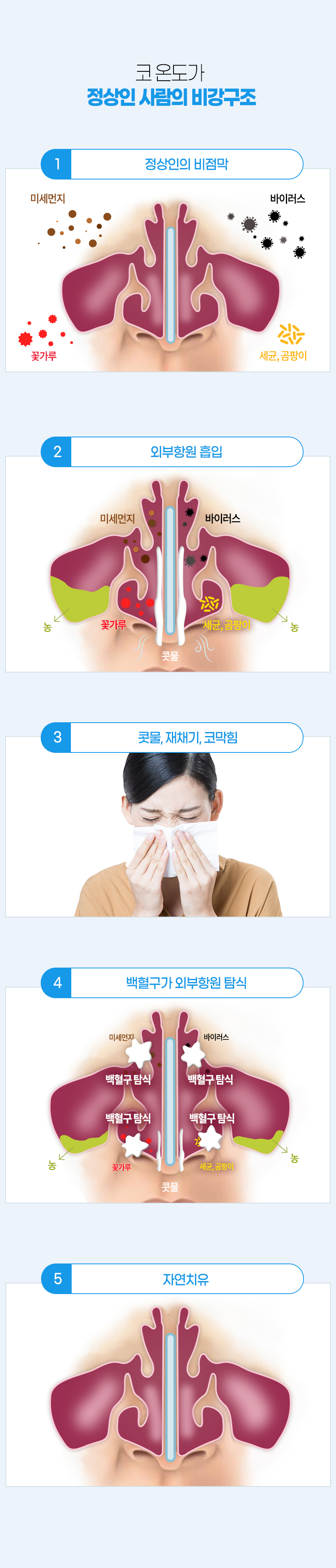 코 온도가 정상인 사람의 비강구조